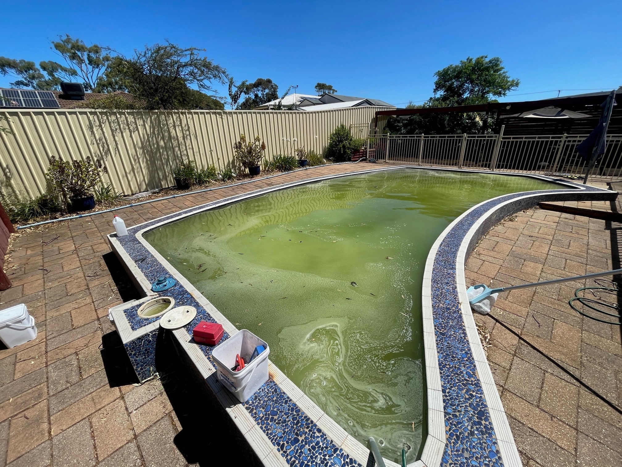 Green pool Recovery with chemicals 1a before